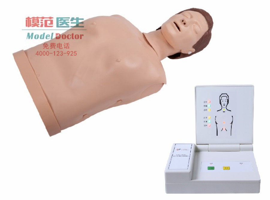 高級電子半身心肺復(fù)蘇訓(xùn)練模擬人