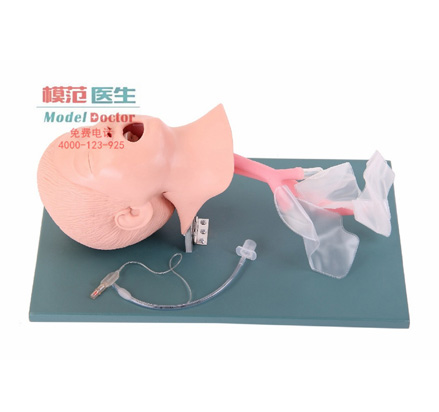 高級(jí)兒童氣管插管訓(xùn)練模型