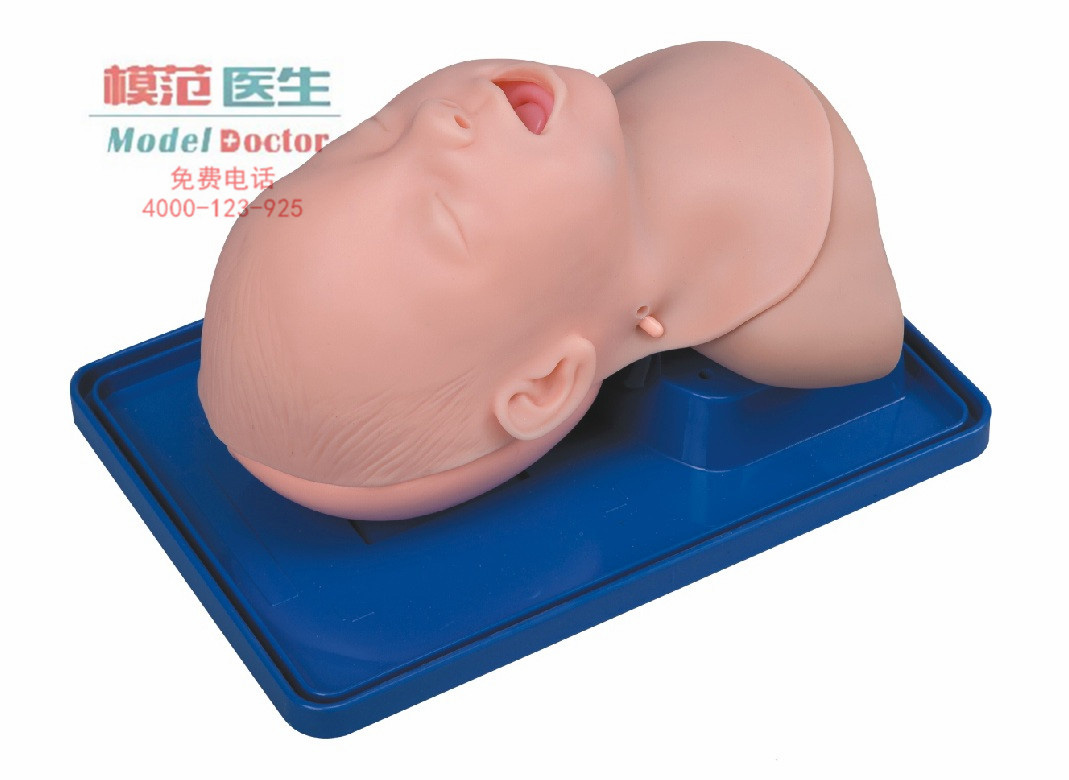 電子人體氣管插管訓練模型