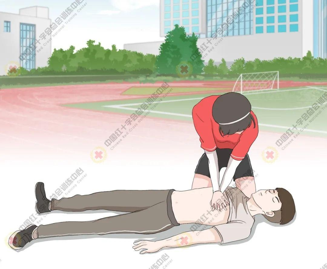 心肺復(fù)蘇模擬人